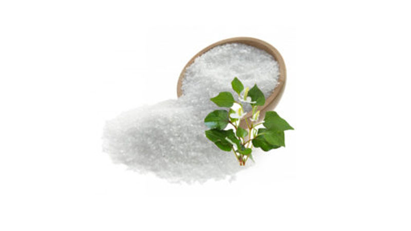 Bột rau diếp cá