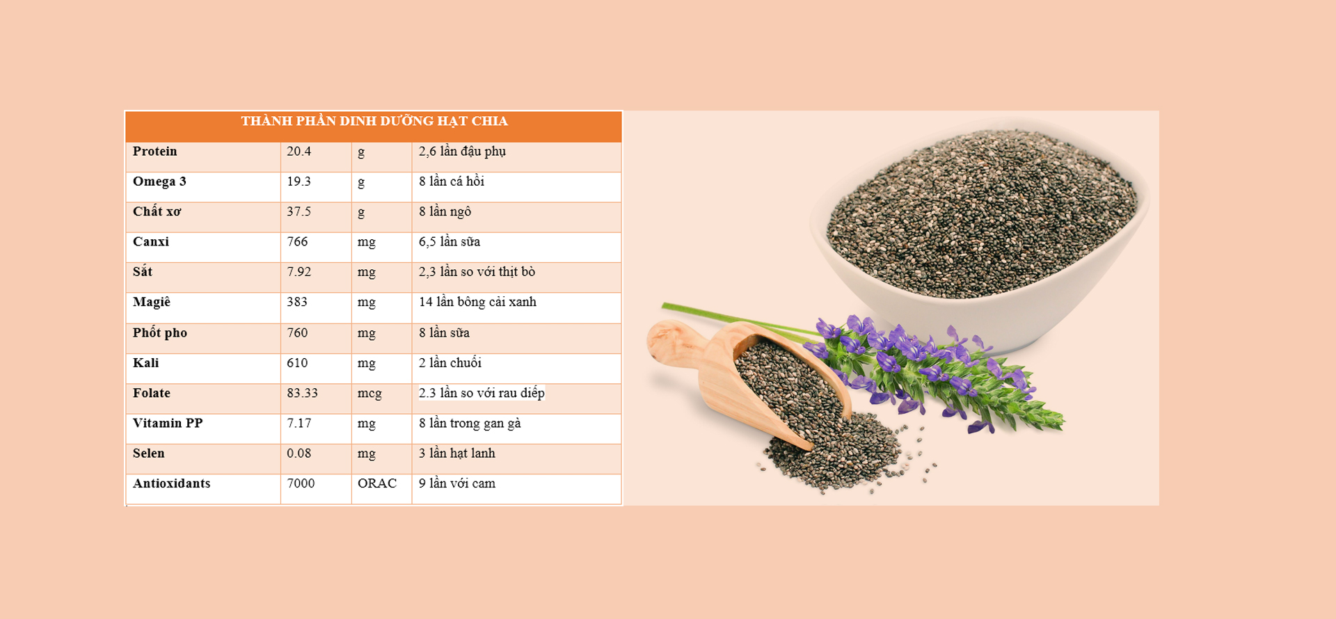 nguồn dinh dưỡng hạt chia 