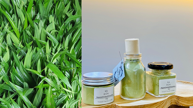 Bột lá dứa Thực Thảo