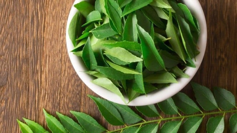 Bột lá neem Ấn Độ Thực Thảo