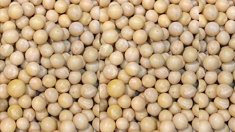 Công dụng của hạt đậu nành