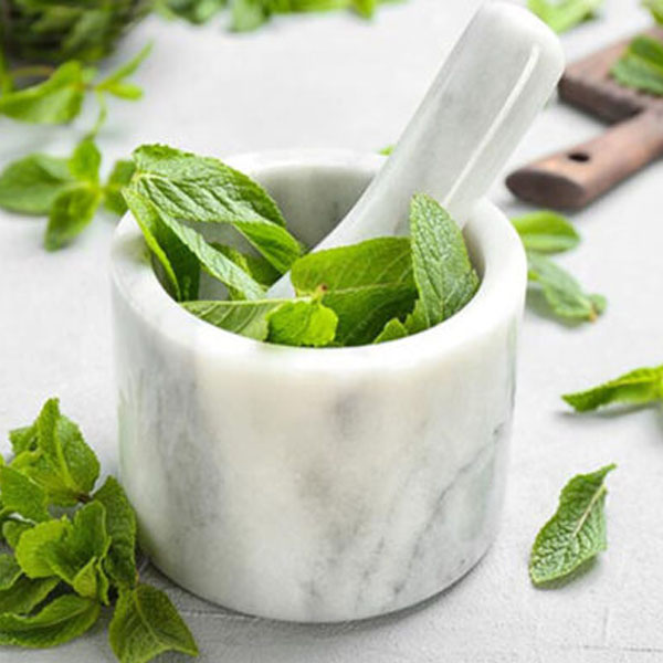 Bạc hà nguyên chất