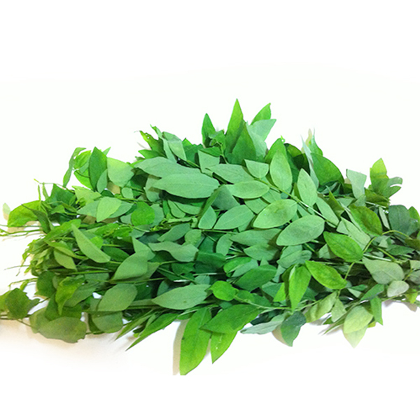 Bột rau ngót nguyên chất