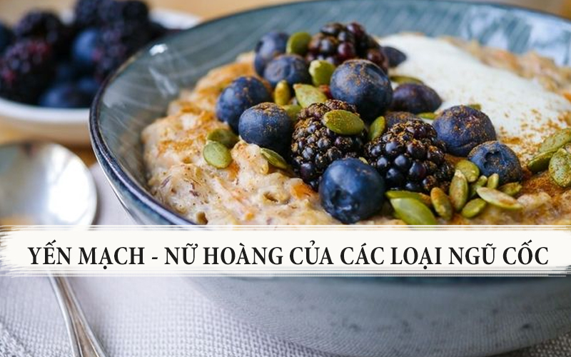 Công dụng của bột yến mạch giúp giảm cân