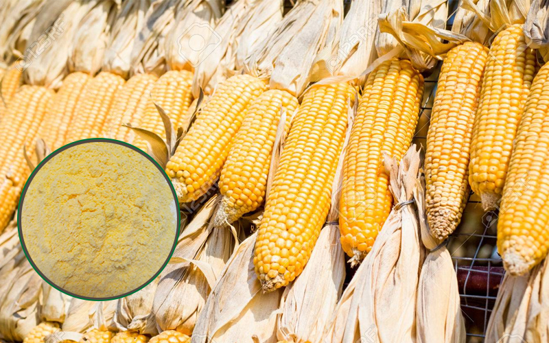 Cách dưỡng da trắng sáng nhờ bột bắp nguyên chất