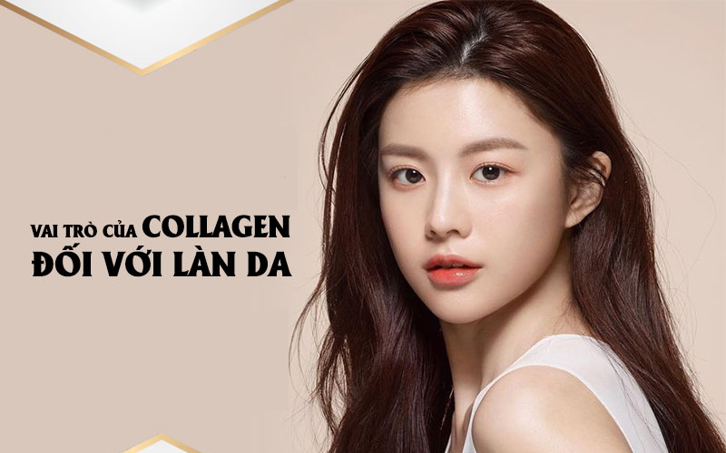 Tác dụng của collagen đối với da