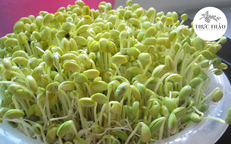 Bột mầm đậu nành rất tốt cho sức khỏe và sắc đẹp nữ giới