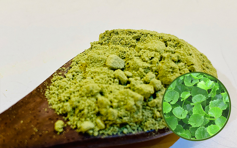 Cách trị mụn từ bột rau má Thực Thảo