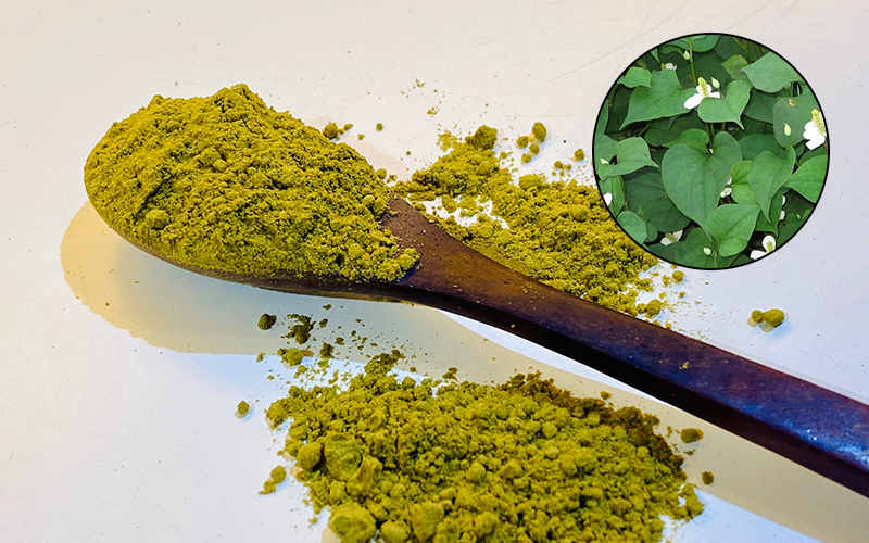 Địa chỉ tìm mua bột rau diếp cá nguyên chất, uy tín tại Tp HCM