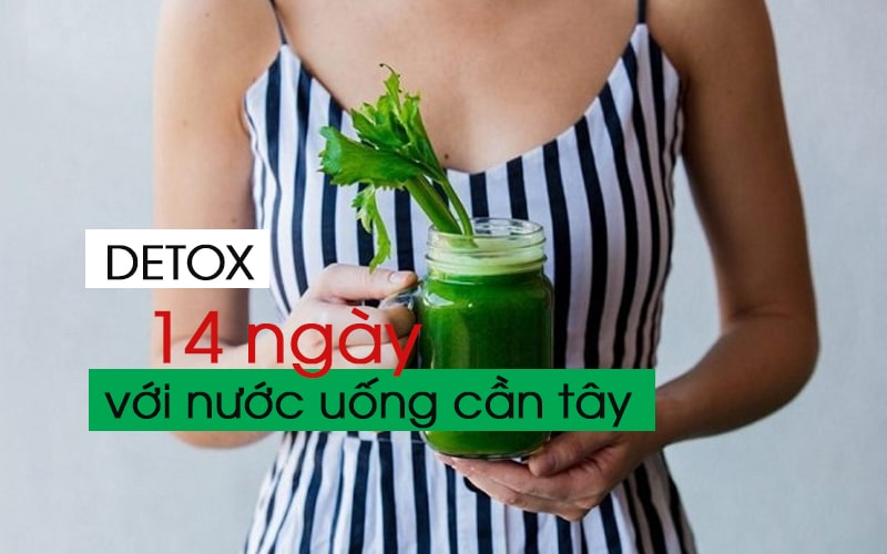 Detox cơ thể 14 ngày với nước uống bột cần tây giảm cân