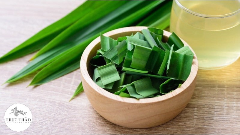 Lá dứa hay lá nếp là loại nguyên liệu không thể thiếu để tạo màu cho các món xôi chè, bánh