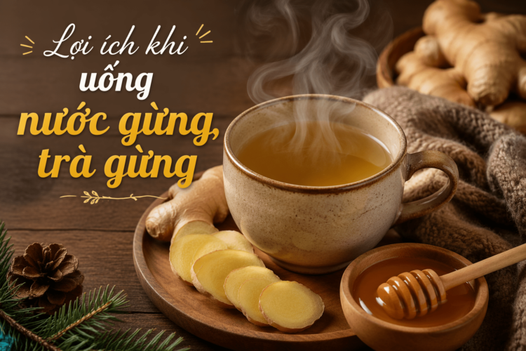 Lợi ích khi uống nước gừng, trà gừng