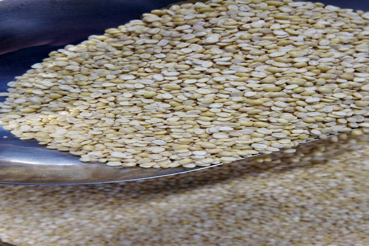 Thao tác sên nhân bánh đậu xanh gói bánh tét nếp và làm bánh in đậu xanh mộc truyền thống